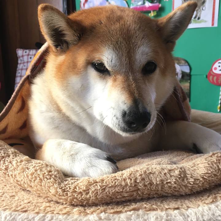 Df289144 9cbb 45f2 94f3 b6e4b7d30c73 1615339754755