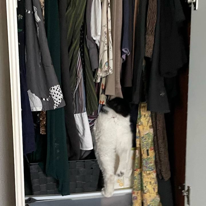 Df28c543 3331 4ebf 807f 53867deef262 1744343042476