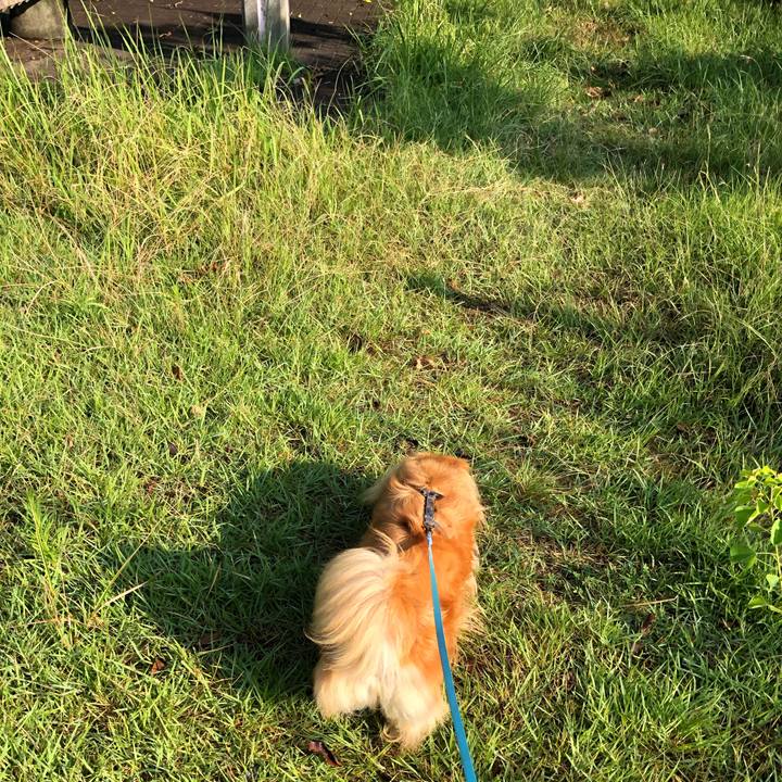 Df28f47b edb5 49ee 9be6 2376d2d7cb21 1566168967723