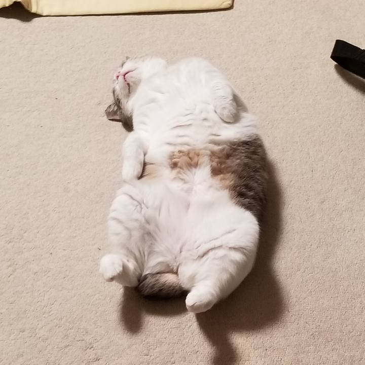 Df2920bf 8369 409a 9de0 06194c899867 1610533738547