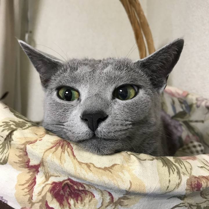 Df292e42 f369 48eb bda8 d2495879587f 1525957490963