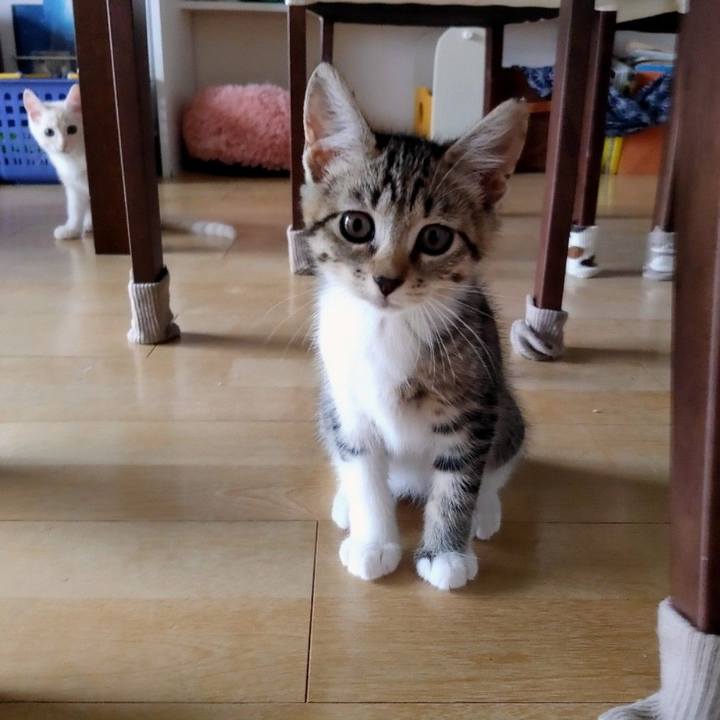 Df29d6f6 d036 4507 b573 1088d109b5af 1625526036738