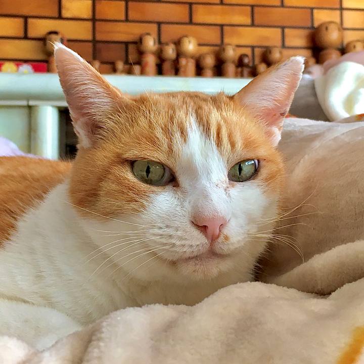 Df29fcf2 d9f2 4593 8085 18b5722017c5 1605479590856