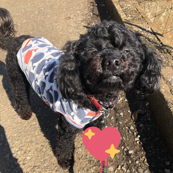 Df2a9f38 c2b0 4c8c 9465 10209fbfc1b3 1554189928991