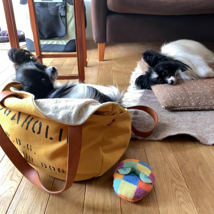 Df2ac417 00e1 4b35 8d26 4e69612451bd 1558307232511