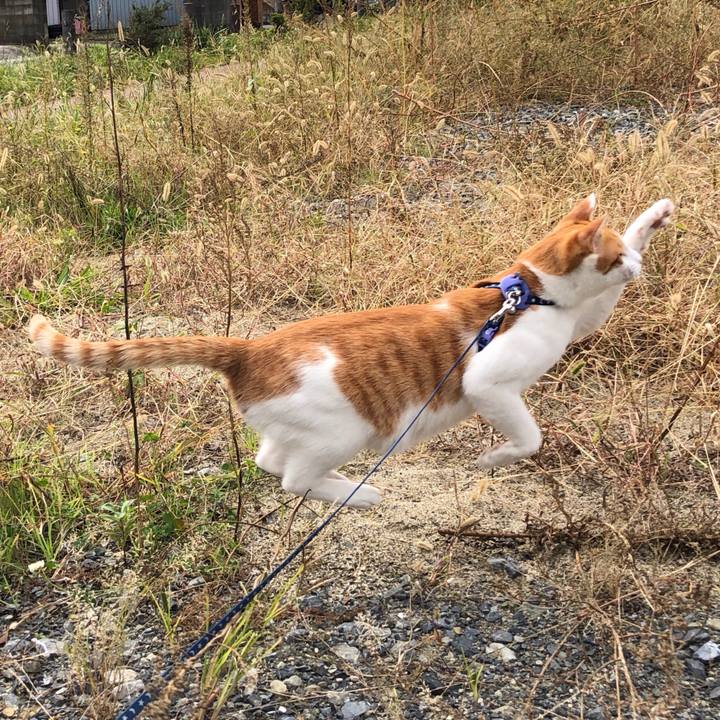 Df2acb3a 9fe0 4fb0 a436 ac7844aa2bdc 1539919115315