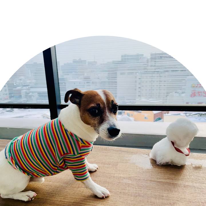 Df2ad965 99b7 40bd aa37 b3299d0ec968 1739149846869