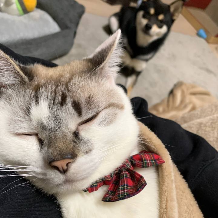 Df2aea28 8c81 475b a5e5 8163863497ea 1609302517050