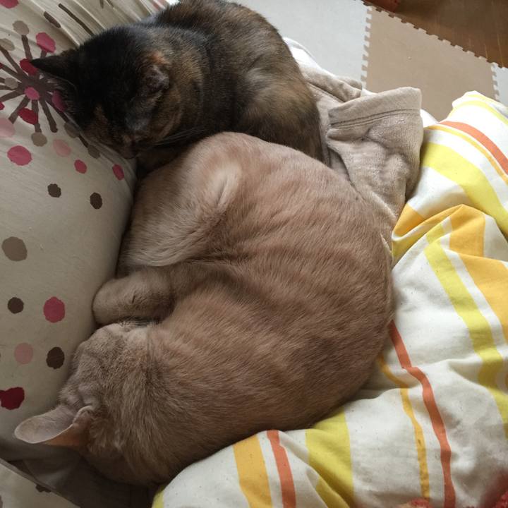 Df2b0351 694b 4a02 a68b 05a14a3a2b08 1550016316134