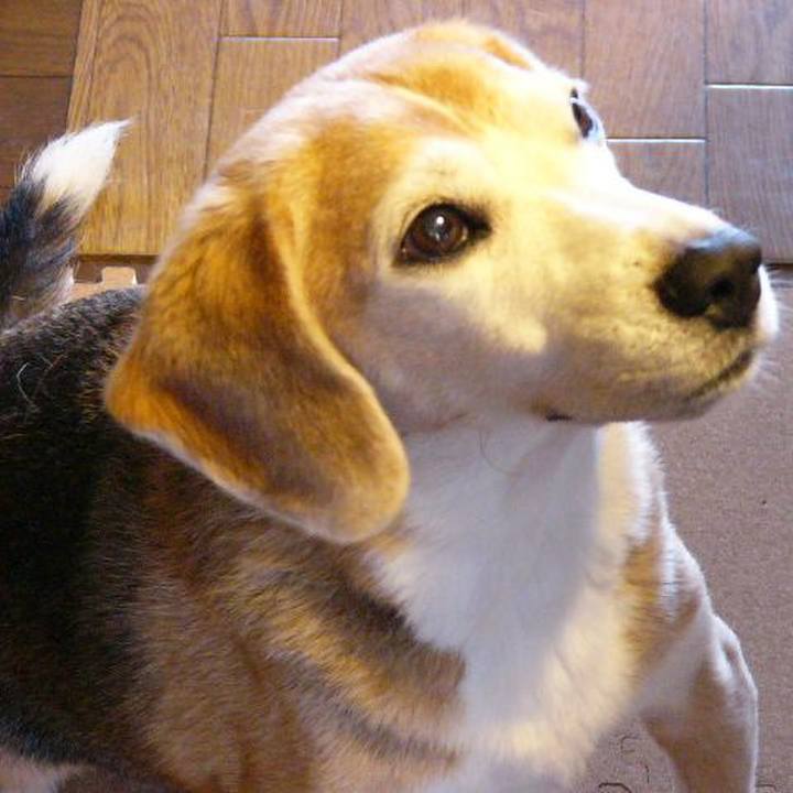 Df2b0a9b 2f0a 4ba4 96fa 4e119414dc5e 1666831351470