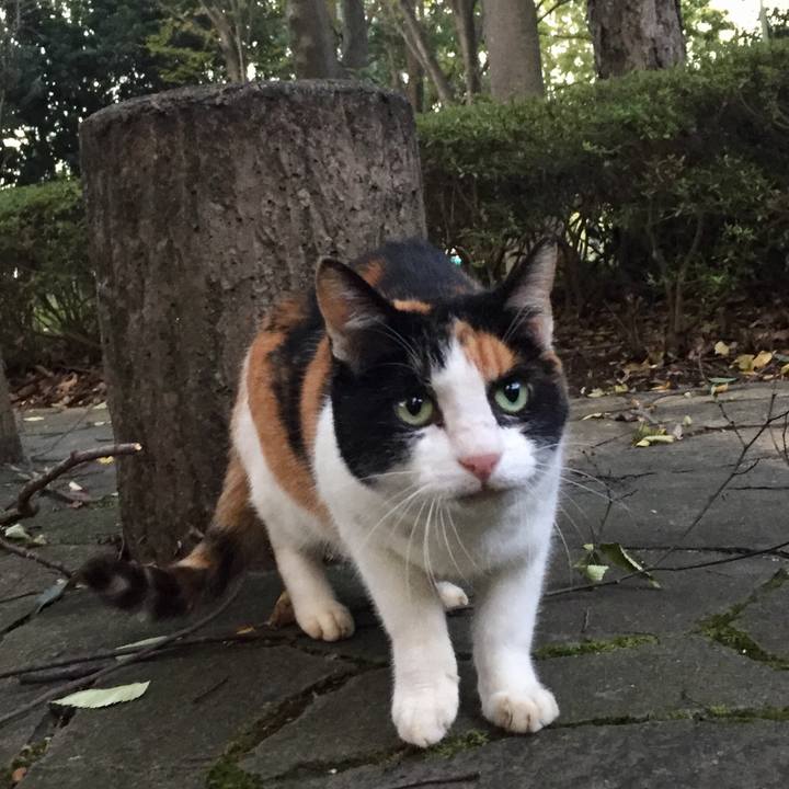 Df2b18eb c6c1 4363 8ff4 f77349037601 1508768940241