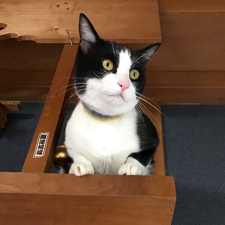 Df2b379d ffda 4f2c 9be7 4bbc2e5ef407 1651396368943