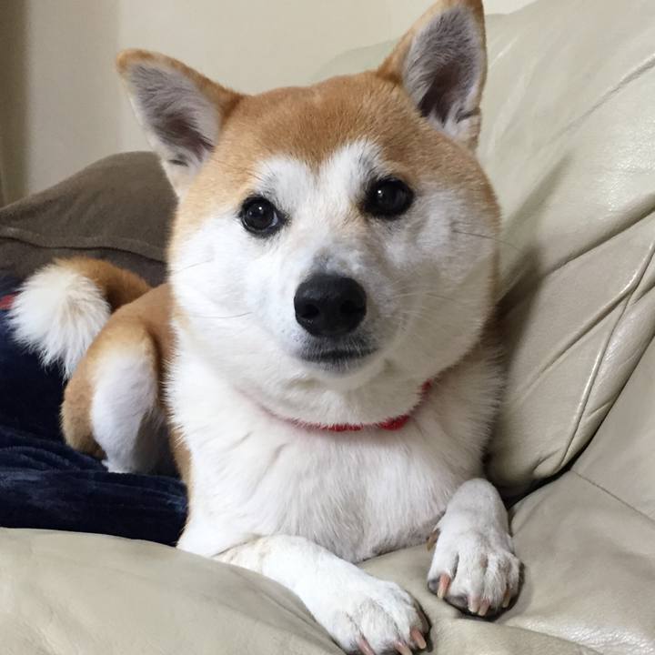 Df2b401d c912 49b0 a5bf 1bbfcc8fba25 1518084931094