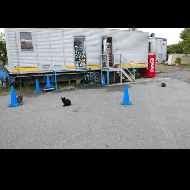 Df2b4417 c6c1 4d25 bb0f ac7d922d003c 1590104488197