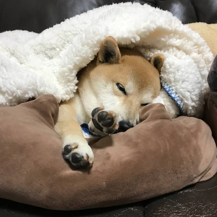 Df2b671f 44c7 4d72 832e 43a58853d2c2 1518410305170