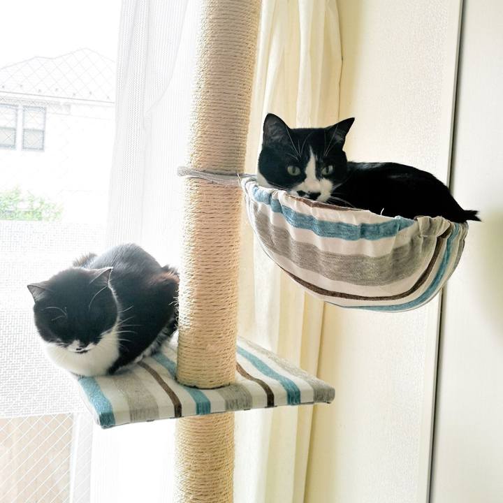 Df2b88e8 63e1 4e1a a544 60015e8b9ff7 1543719271171