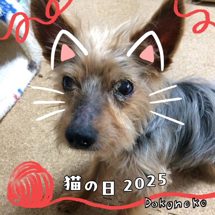 Df2b9a31 3b1f 4cbe b245 54b02f3af76e 1740104341135