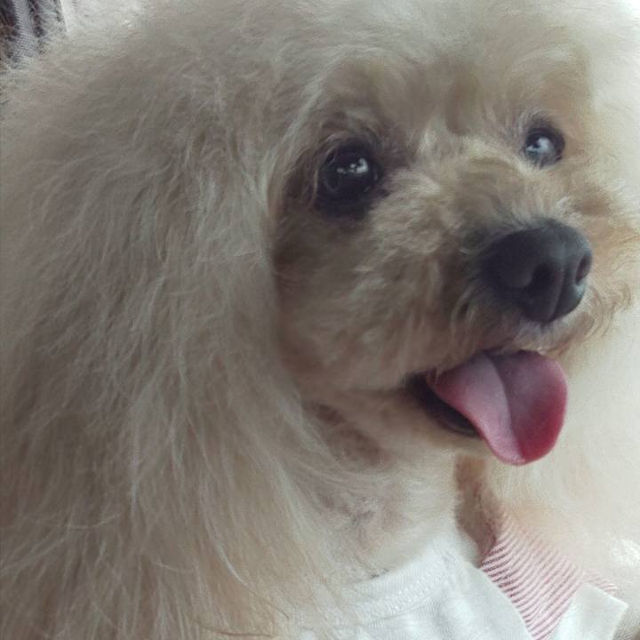 Df2bc2b7 e121 4b81 b02b 862b7de0b846 1655264689980