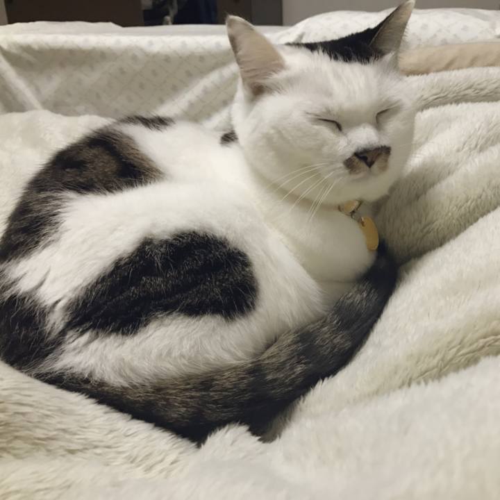 Df2bf38b 3909 4aca 9aed 761ba6788f9e 1545022421852