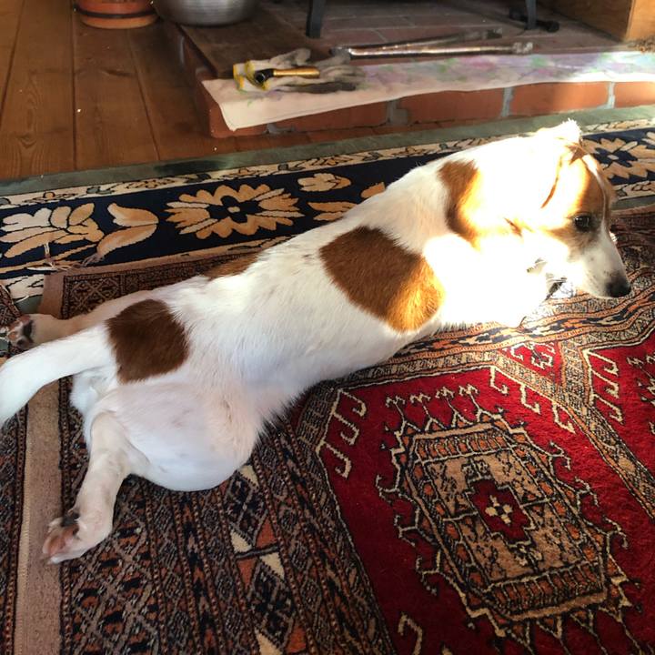 Df2c2c05 ae54 4c87 aa55 603336ebf444 1580197453991