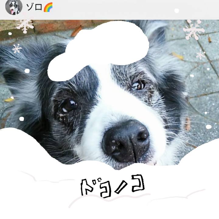 Df2c6a7a c5b0 4cb0 ad10 b48045503be7 1771911442676