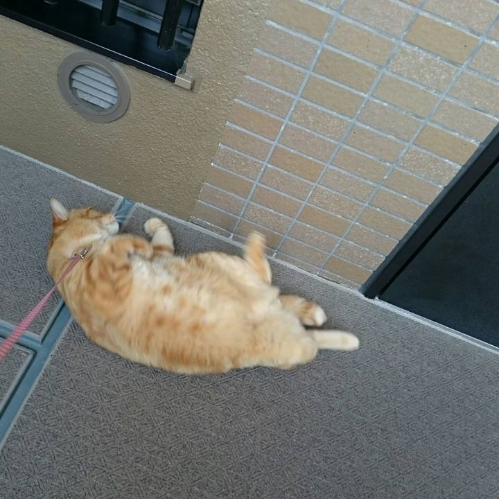 Df2c6c43 1c25 44de 9588 7837b8b1553b 1528346703003