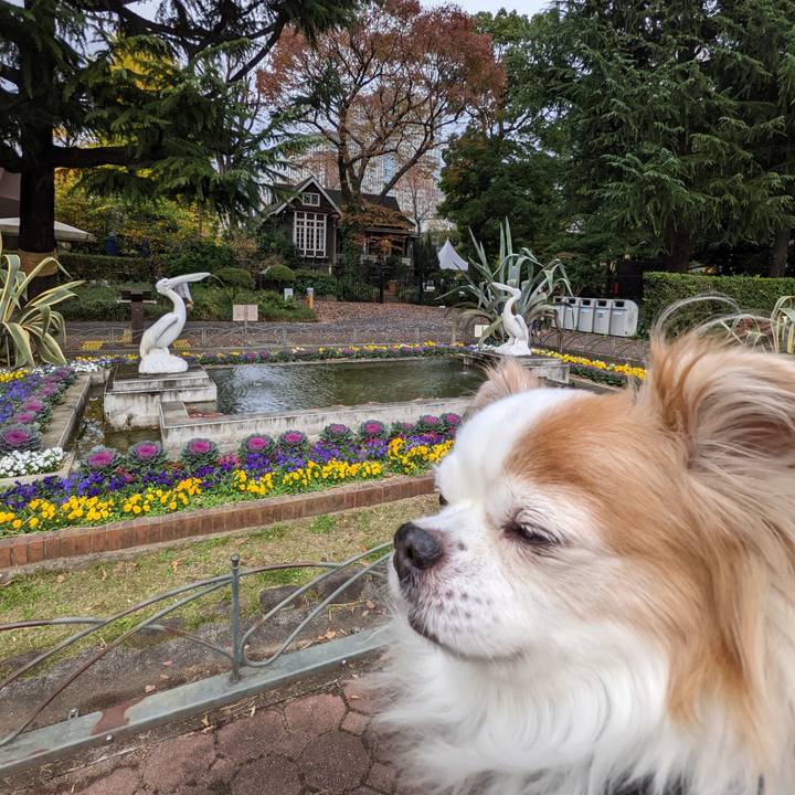 Df2c8561 762f 4c52 b3ef 038de4b532f1 1670060737248