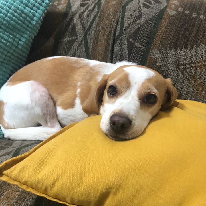 Df2c9ab8 b169 4478 b545 2aa5f910fdc9 1657526123296