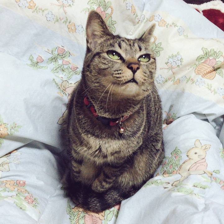 Df2ced53 041b 4da4 b7a1 84021d1d123f 1513162507768