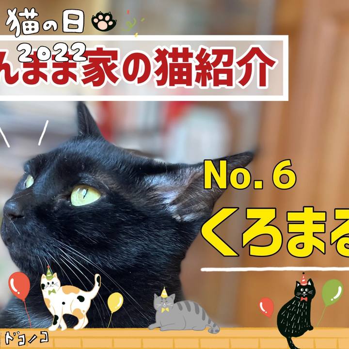 Df2cf00b 3df4 43cf 9a6b 639761c1191e 1645503153224