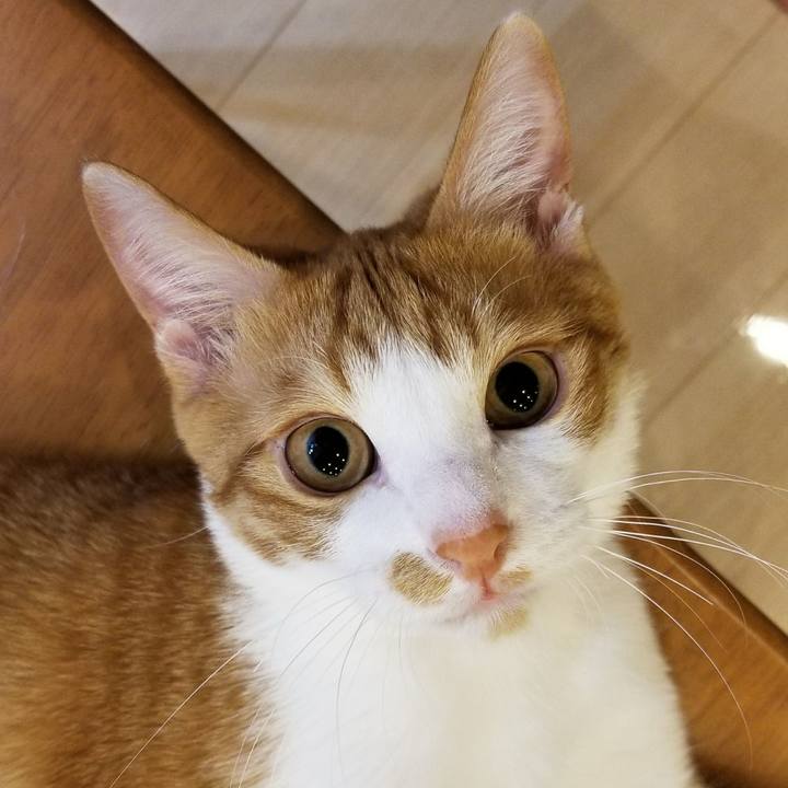 Df2d5921 19ce 400c b28b f31e4830b2fc 1513606428606