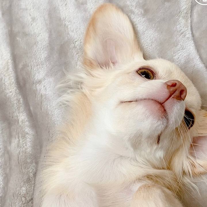 Df2d6c5b 9e57 44eb b07c 6c115090b383 1603317142054