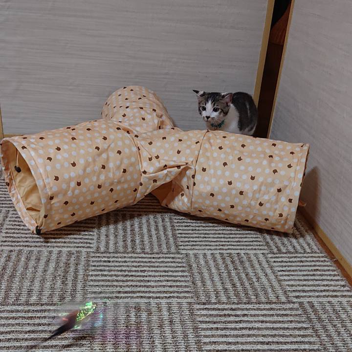 Df2db5af 7776 4afc b9f1 5b7a2687ead0 1545103647712