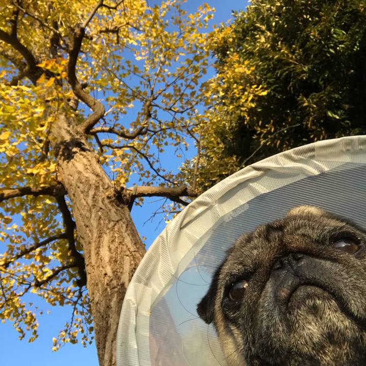 Df2dc80c b60d 4cb5 907d bffdbce94e06 1604206410731