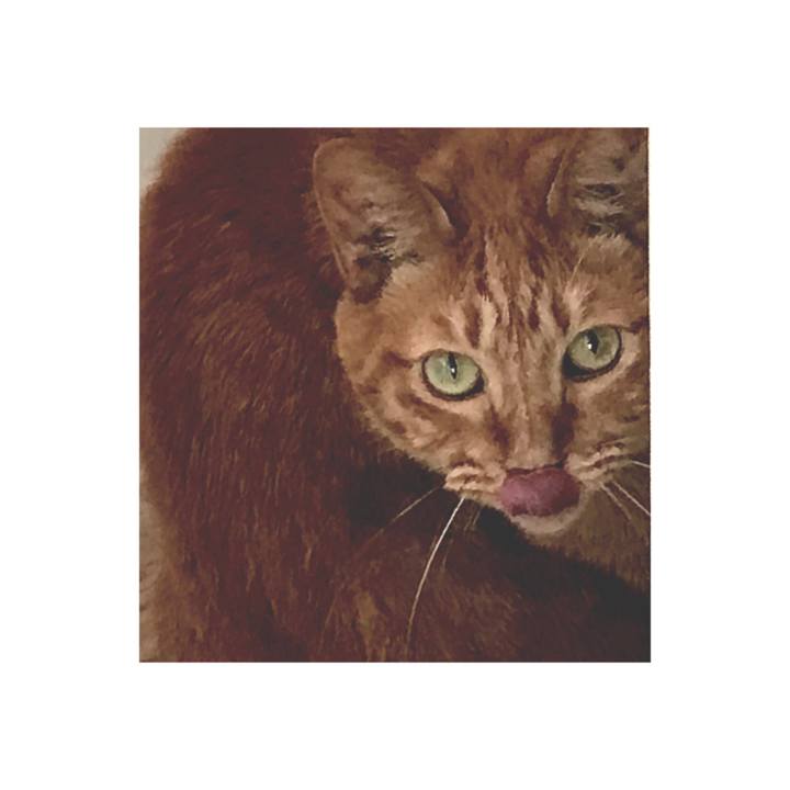 Df2dd4c5 239c 4daf a2c4 3cbe5c1c5589 1664021823868