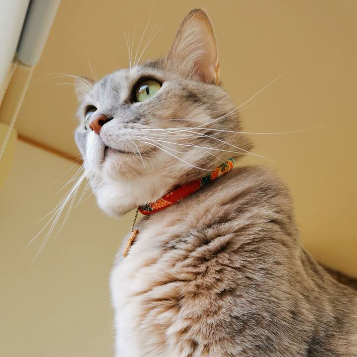 Df2dd899 87cc 4661 a713 321778ff3962 1641355346393