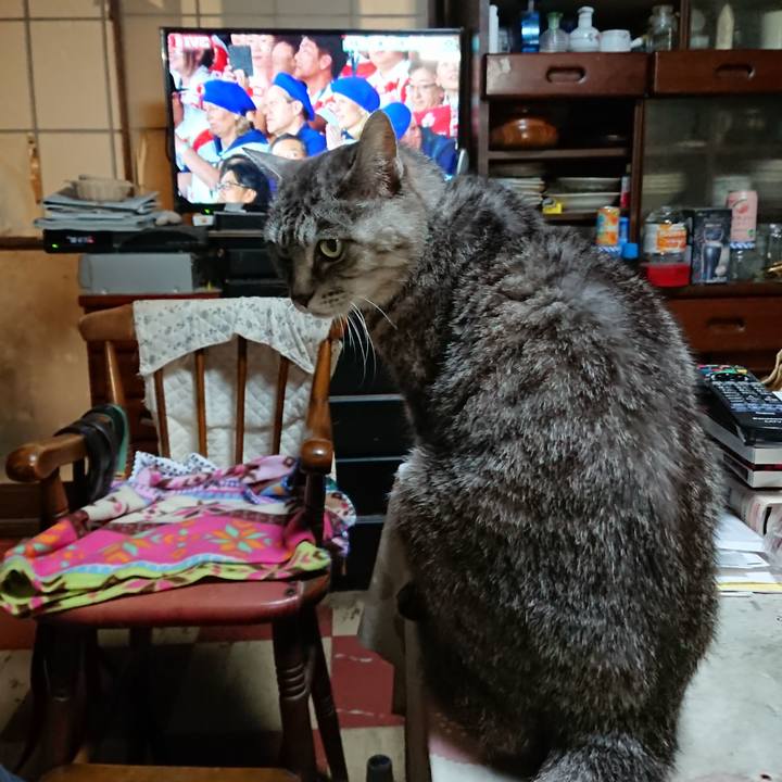 Df2ddd53 b8d2 46c4 8c88 d5b570df259b 1570967901575