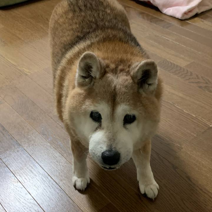 Df2e2672 27b9 479f be37 4d2d1760df7c 1650287916673