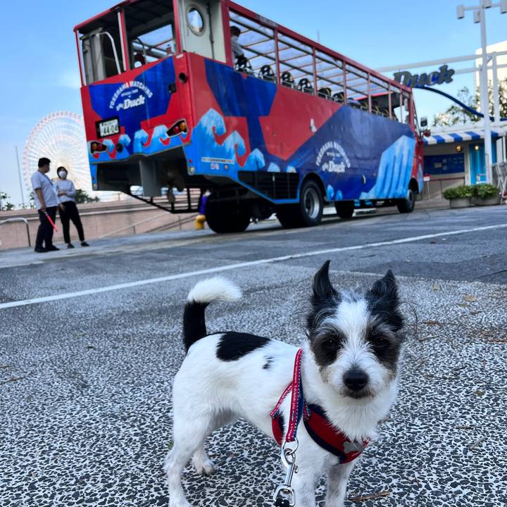 Df2e5b39 4655 455a aa98 7c7f8ff0777f 1650700555202