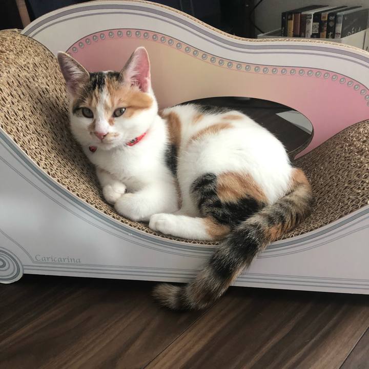 Df2e6f44 ddb0 4ab1 a678 07275585303d 1568447388533