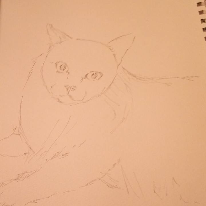 Df2e7586 09b3 4ff9 8801 78a56d23266f 1535428450940