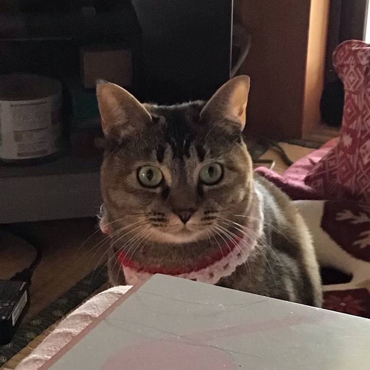 Df2e7a32 a831 449c b274 50ebce654640 1610777244916