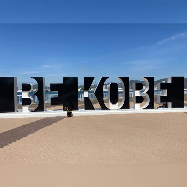 Df2ea7b1 cdb8 451f 8f08 63d597fe6dd7 1618230000376