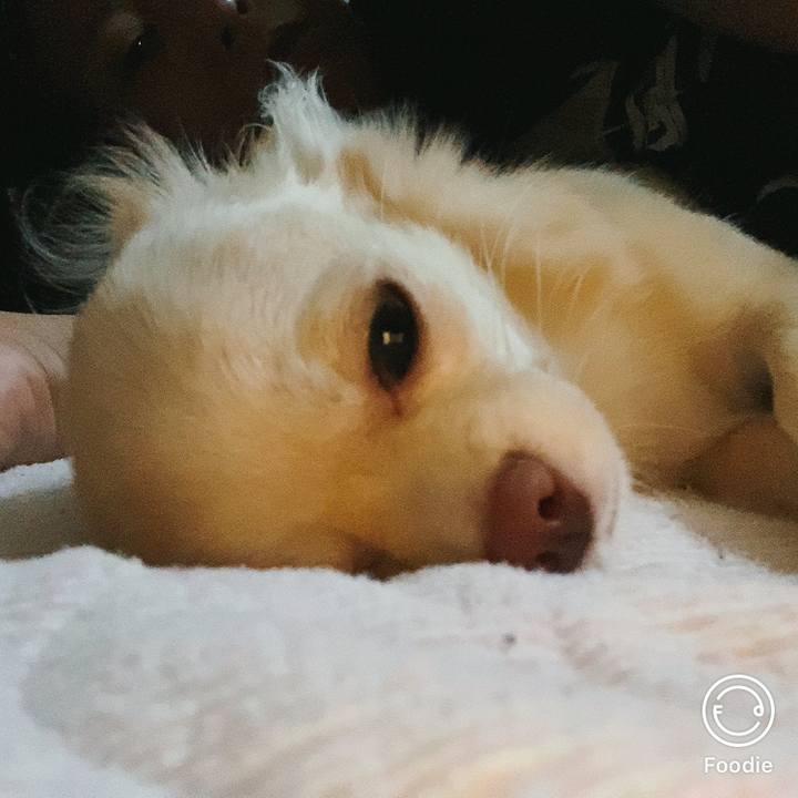 Df2ec89b 2746 43c7 b83c 8afcf9d663e2 1600384565095