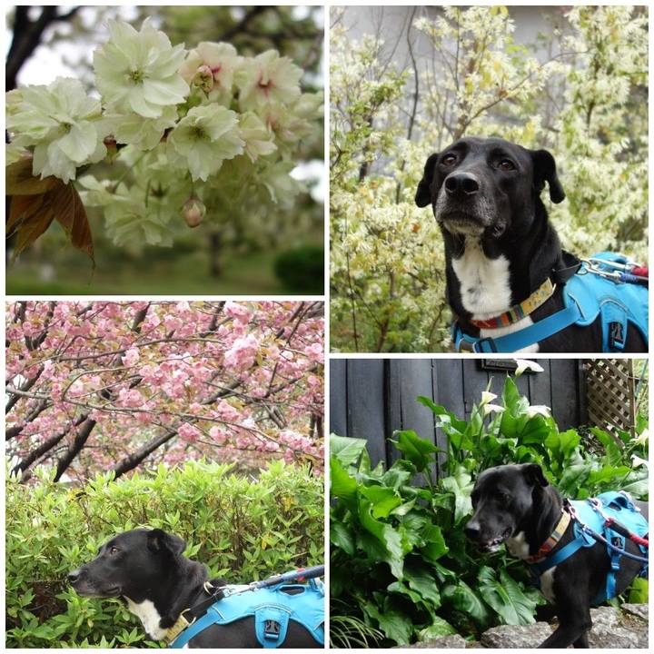 Df2ee267 5ece 4c6e 8dc7 d4e374272848 1617581838622