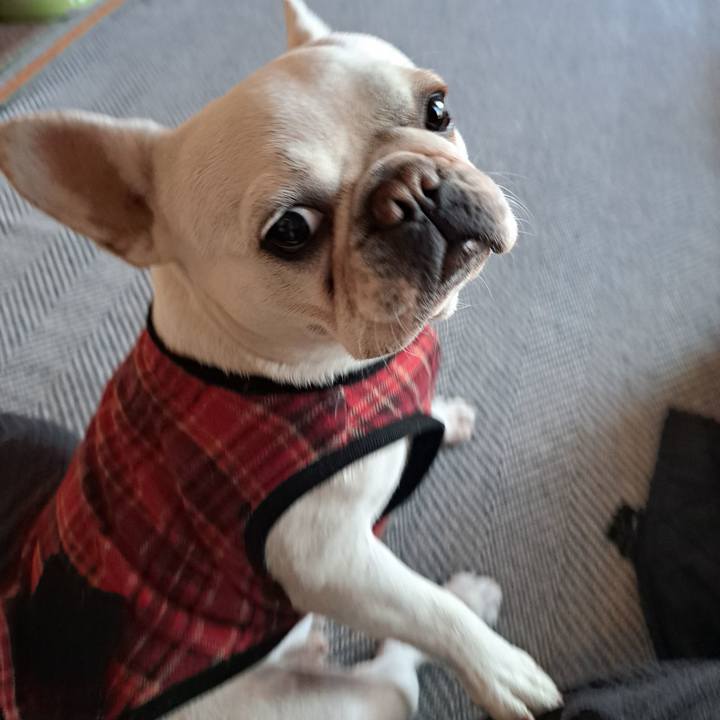 Df2f00a9 d260 43ee 9b61 5cc5dbbc0602 1706422313926