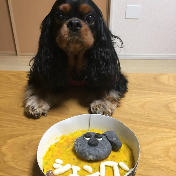 Df2f0c06 5226 4169 8481 df8102c2e99d 1516112990073