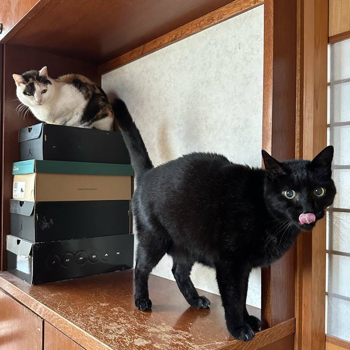 Df2f1173 7548 4508 ae41 b463c74d9f8c 1676338854759