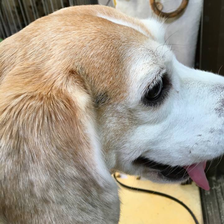 Df2f1ab7 7094 4880 9a57 6b0021bdd834 1561088397875