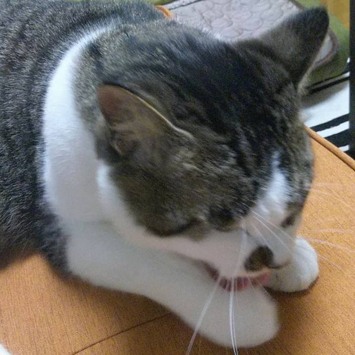 Df2f1cde 658b 4994 b15a 050e18b92cbd 1656823204172